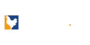 chicken.gg